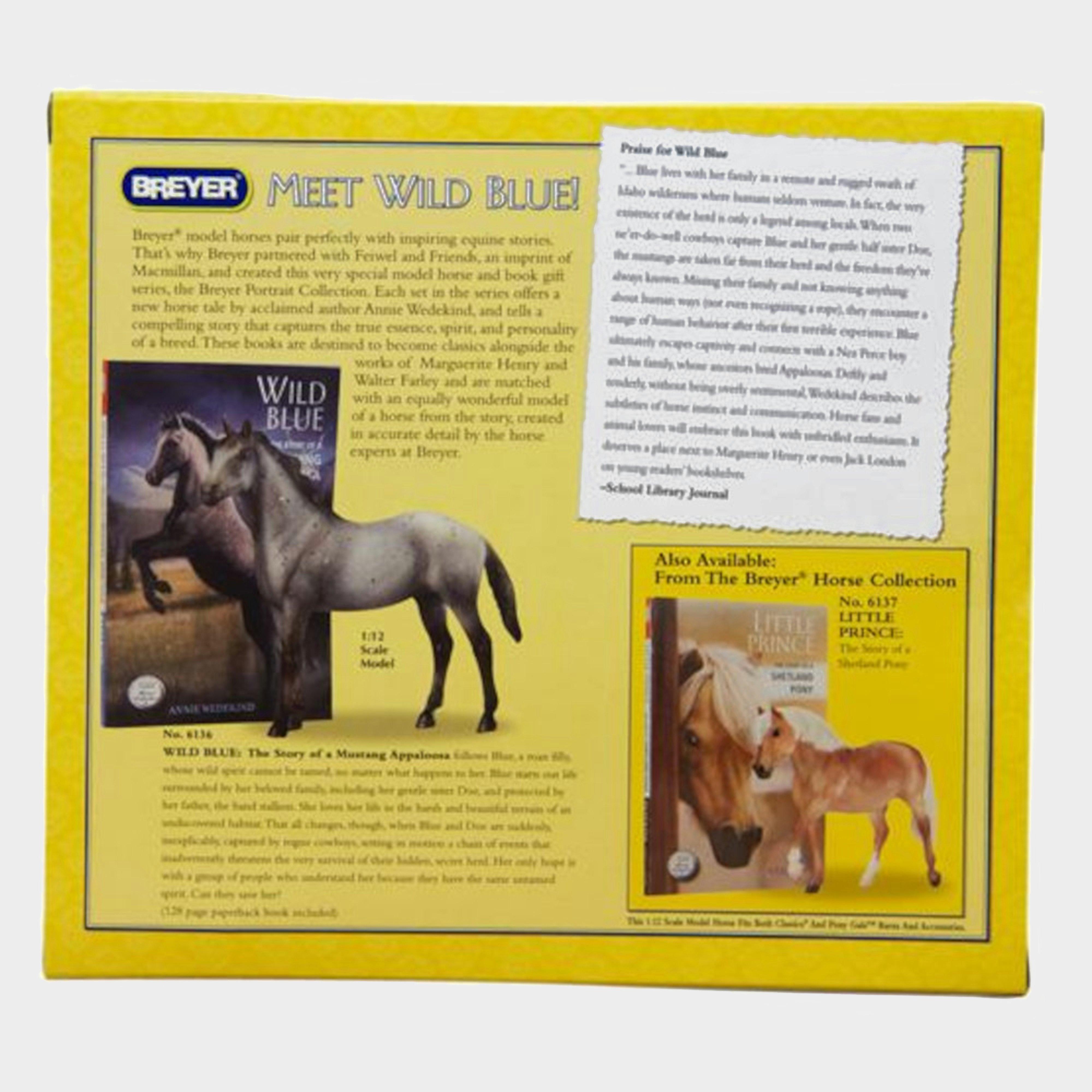 Wild Blue Book and Model Set