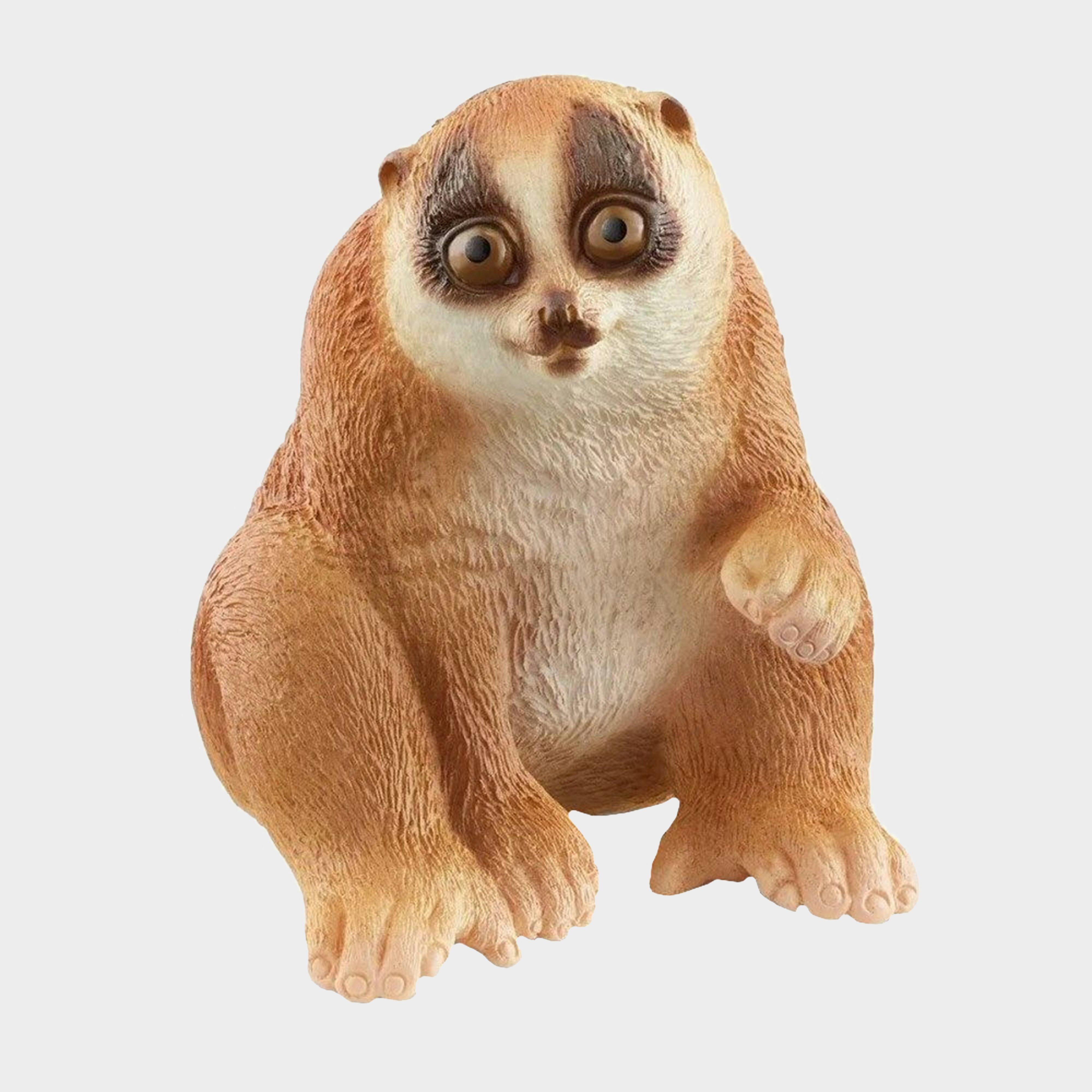 Slow Loris
