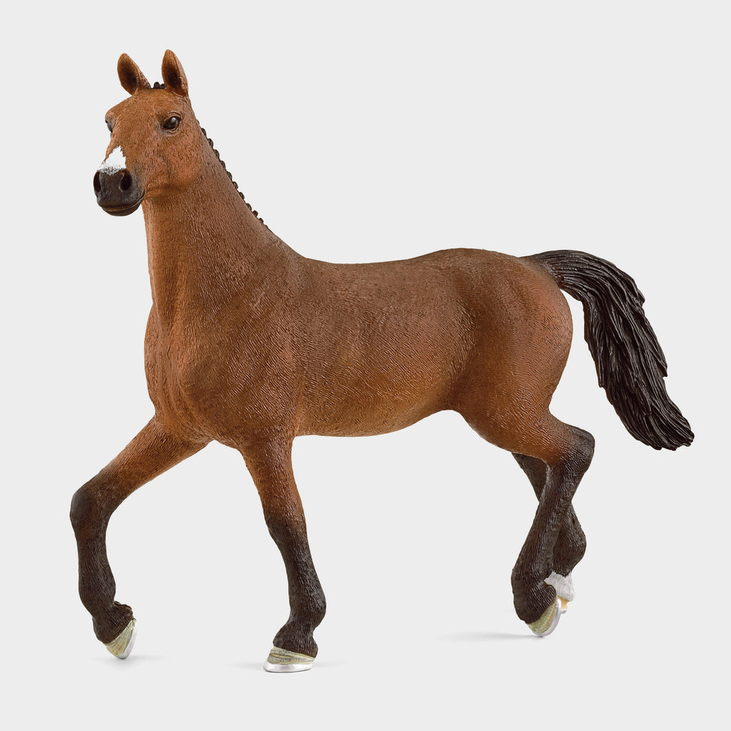 Oldenburger Mare