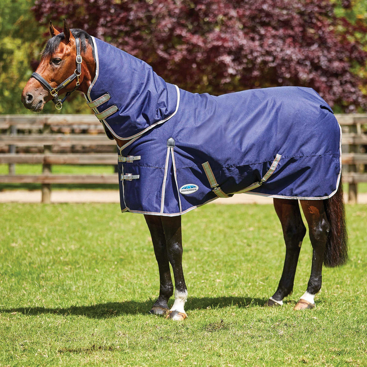 ComFiTec Essential Detach-A-Neck Lite Plus 50g Turnout Rug Blue