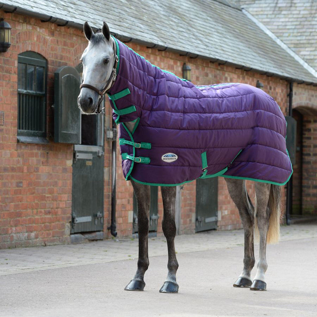 Comfitec 210D Channel Quilt Medium Weight Combo Neck Stable Rug Grape Purple/Blue
