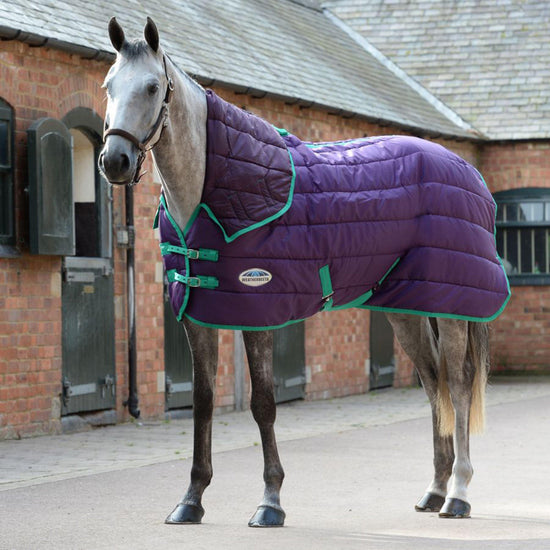 Comfitec 210D Channel Quilt Medium Weight Combo Neck Stable Rug Grape Purple/Blue