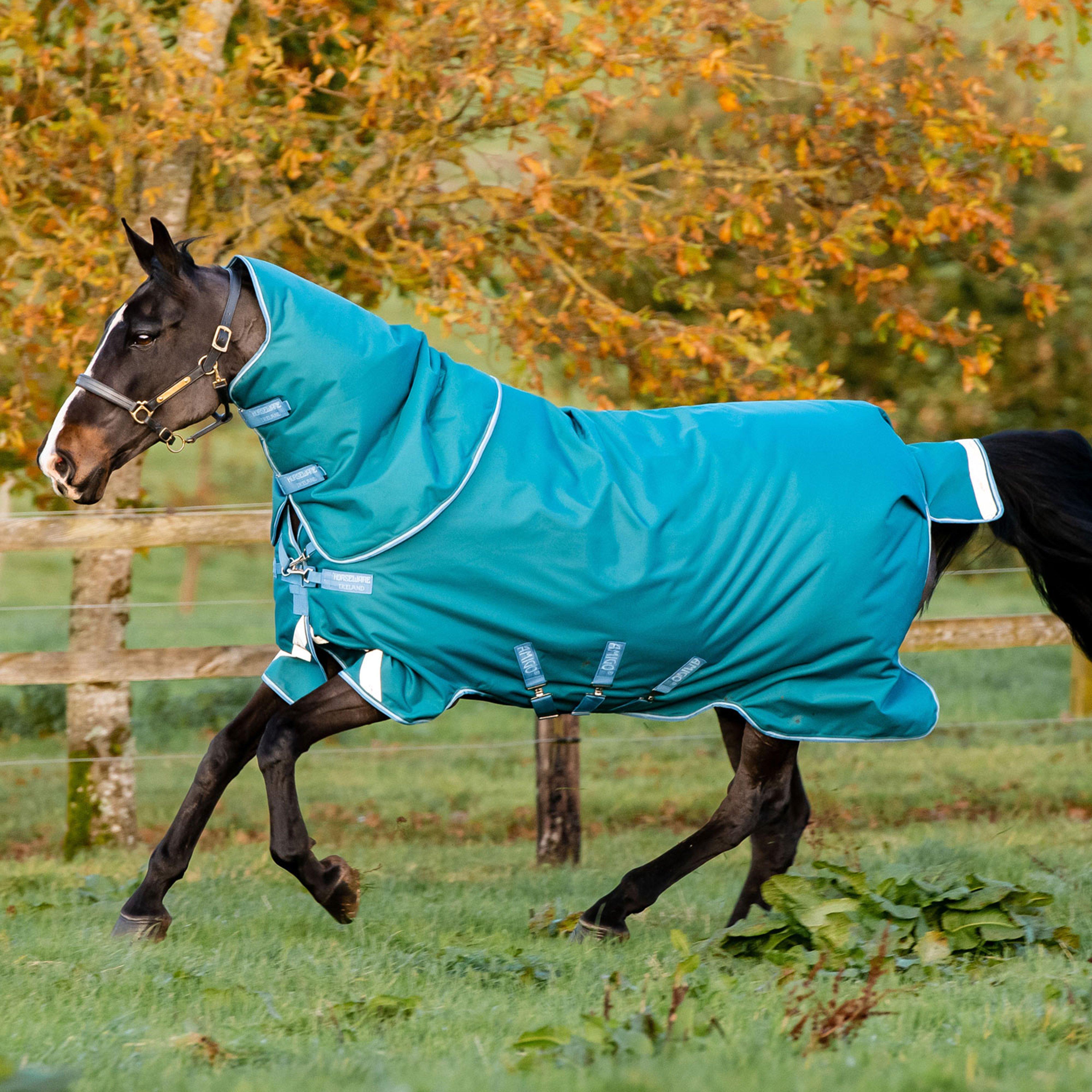 Amigo® Bravo 12 Plus 400g Heavyweight Detach-A-Neck Turnout Rug Teal