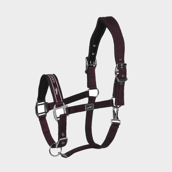 Memphis Anatomical Headcollar Wine