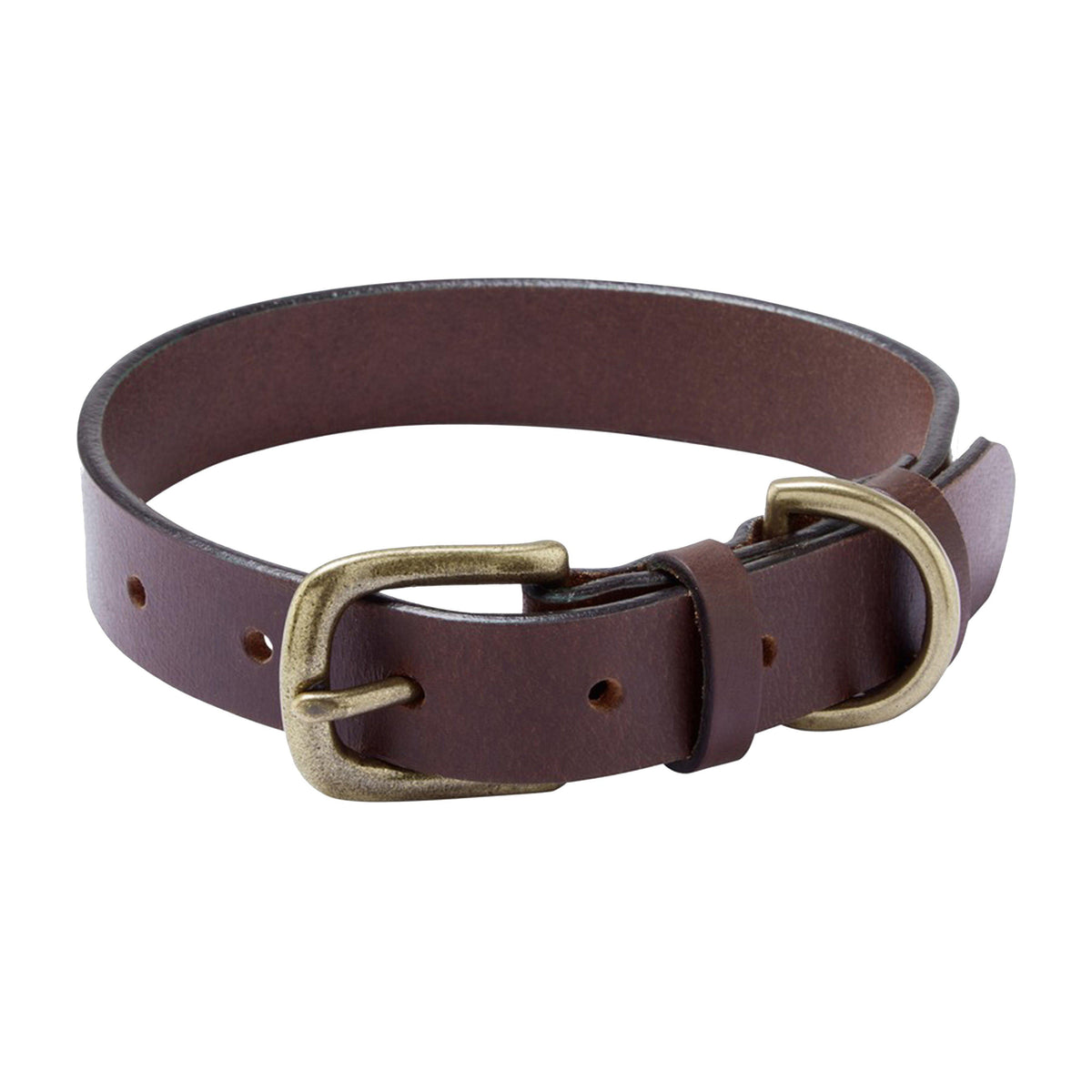 Dog Collar Marron Fonce