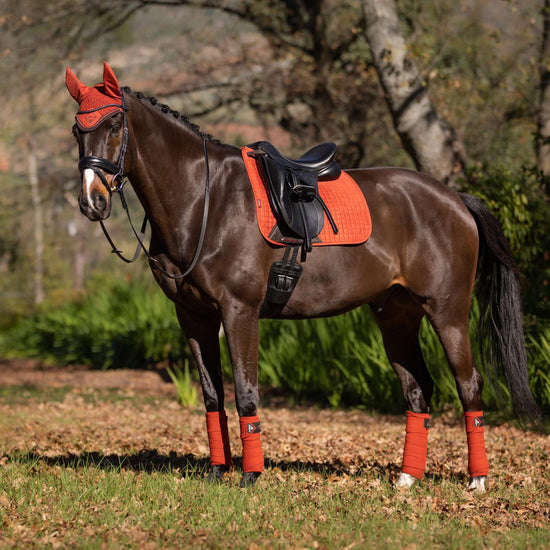 Classic Polo Bandages Sienna