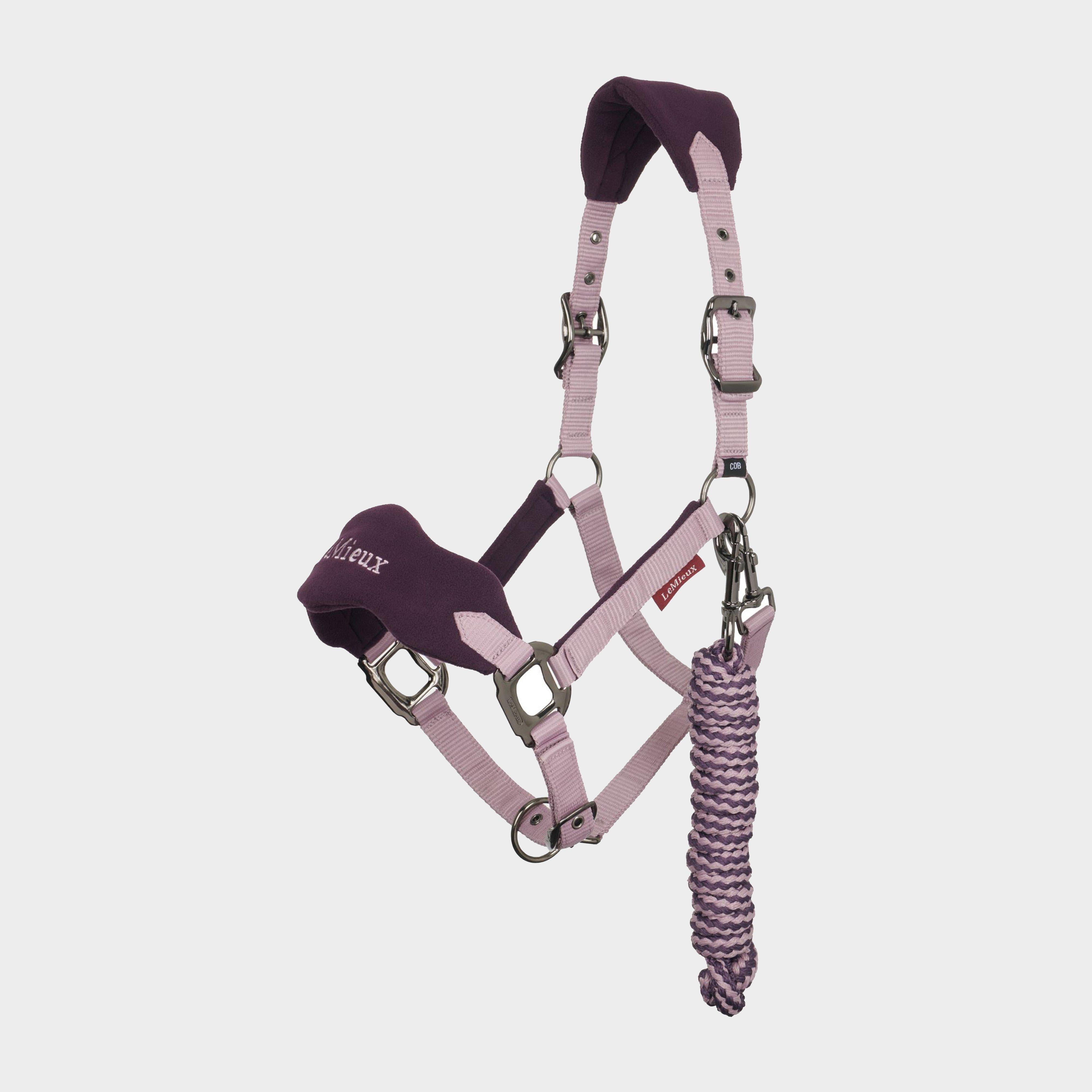 Vogue Headcollar and Leadrope Fig