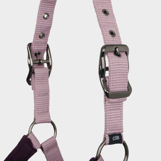 Vogue Headcollar and Leadrope Fig