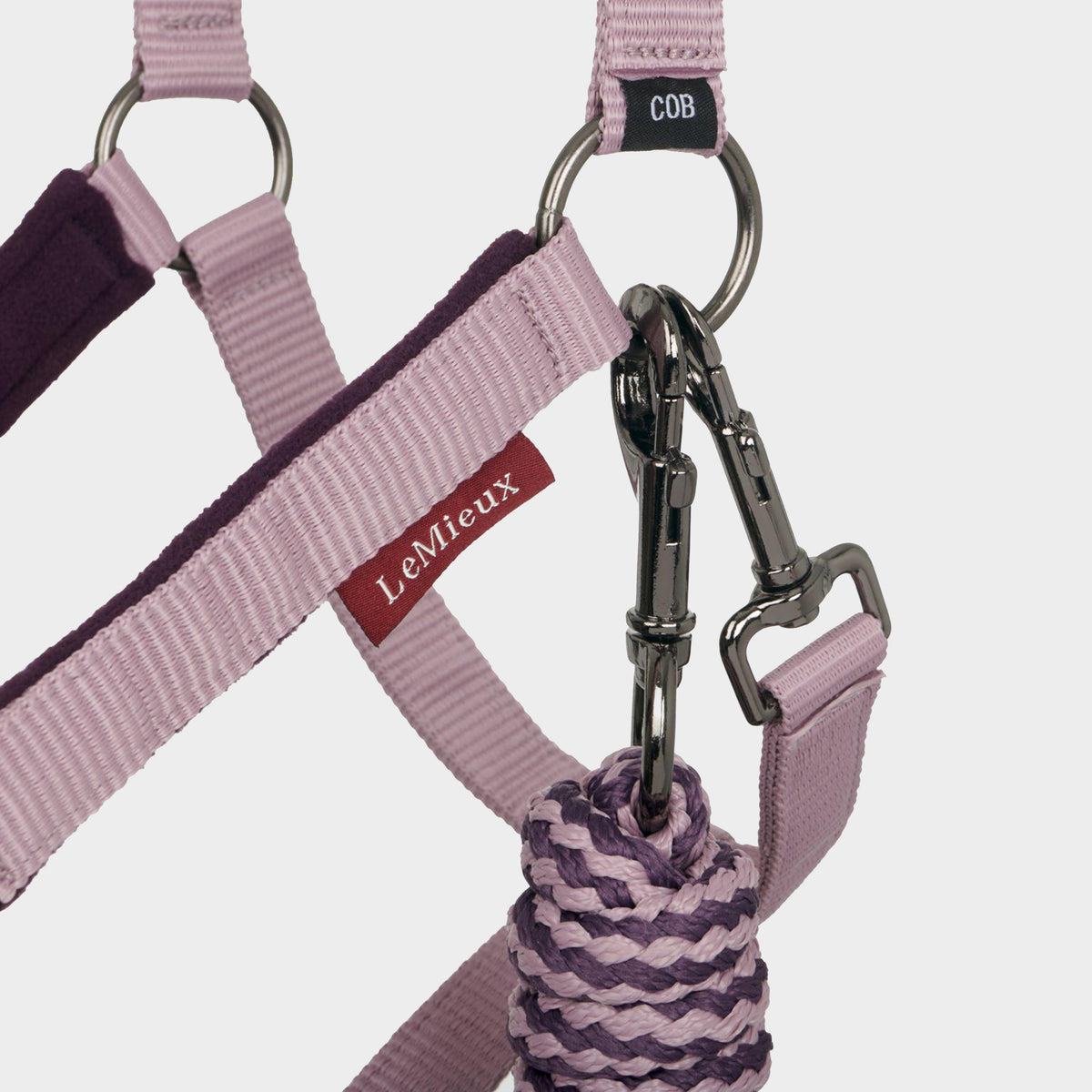 Vogue Headcollar and Leadrope Fig