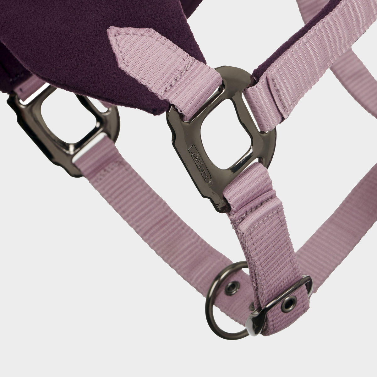 Vogue Headcollar and Leadrope Fig