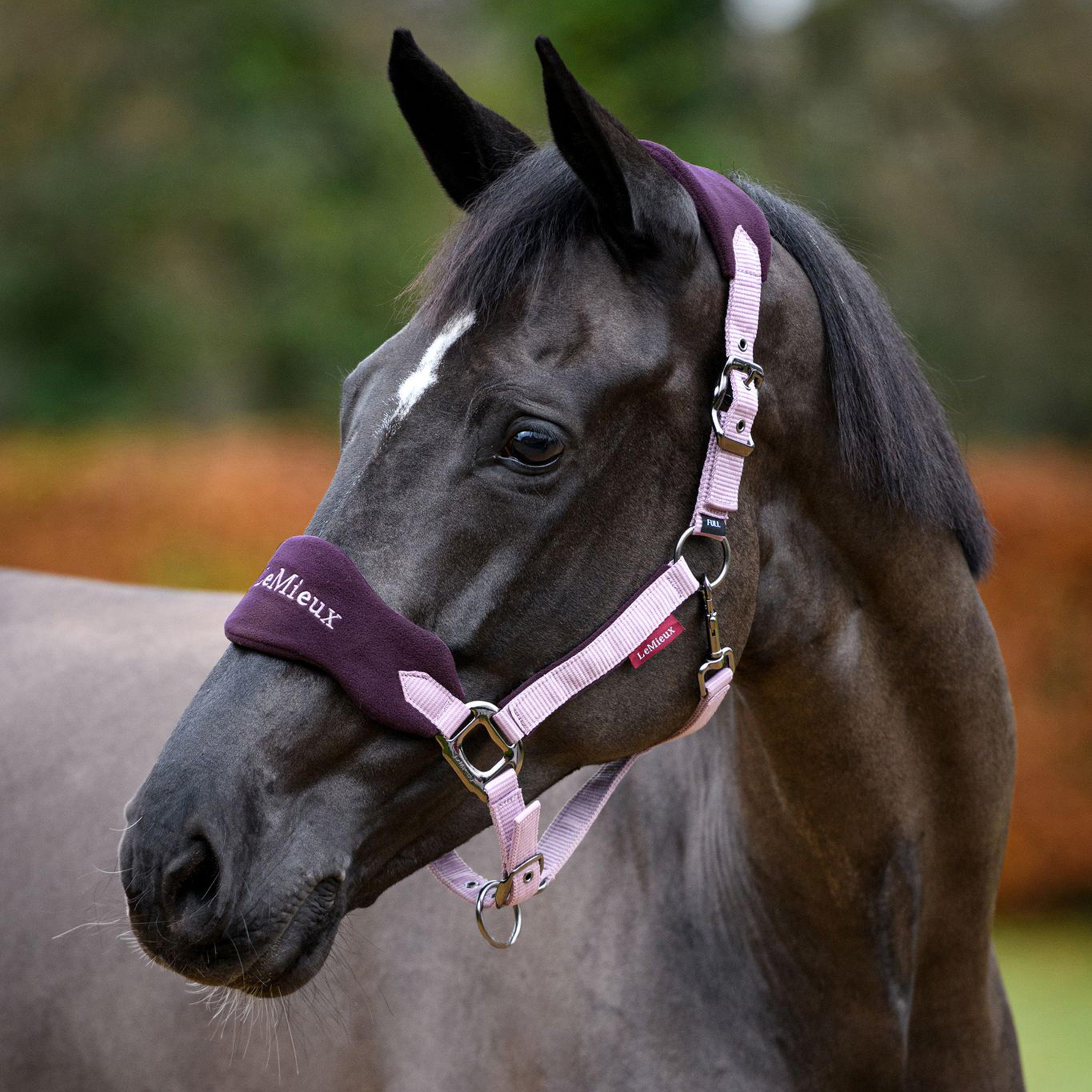 Vogue Headcollar and Leadrope Fig