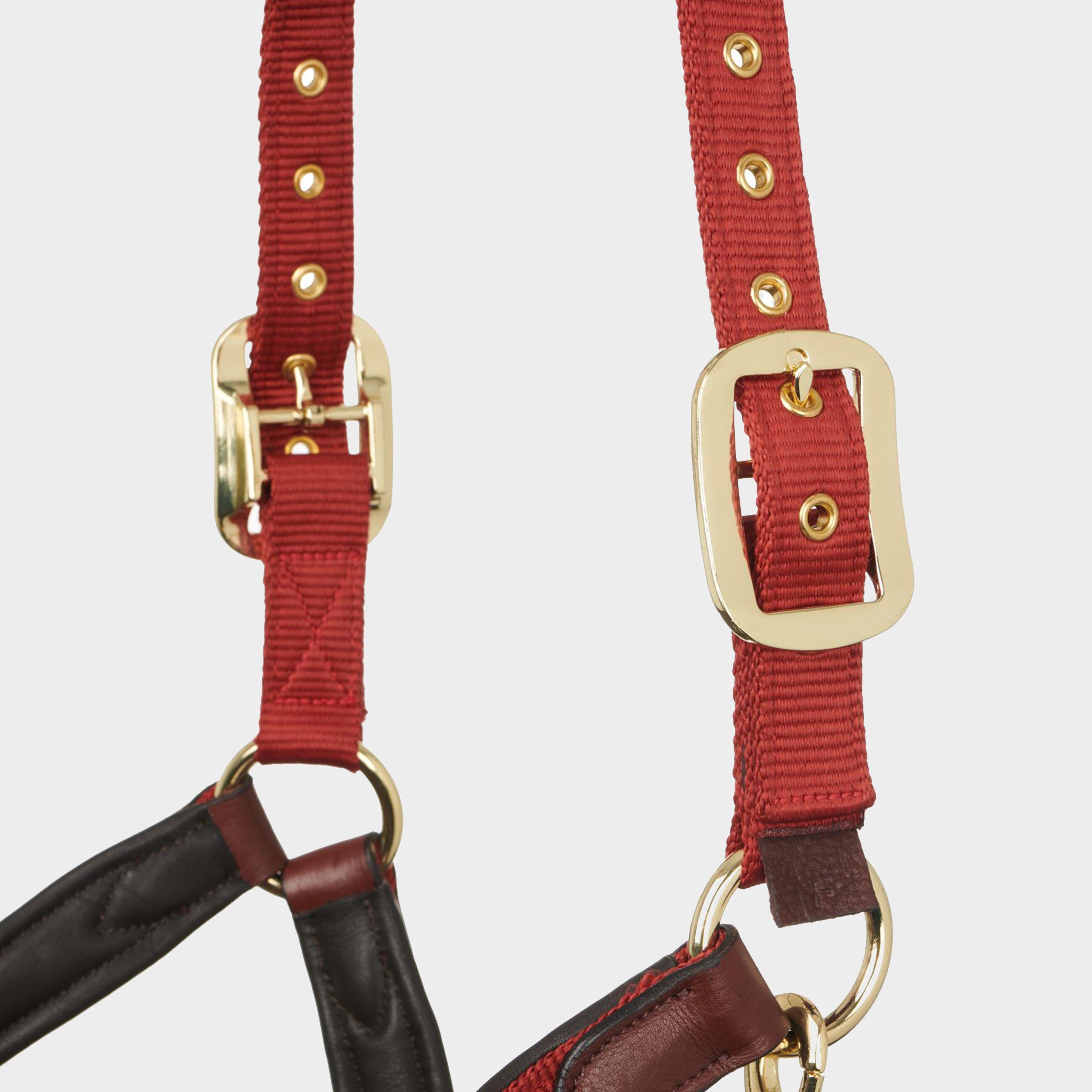 Capella Headcollar Sienna