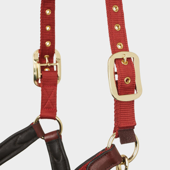 Capella Headcollar Sienna