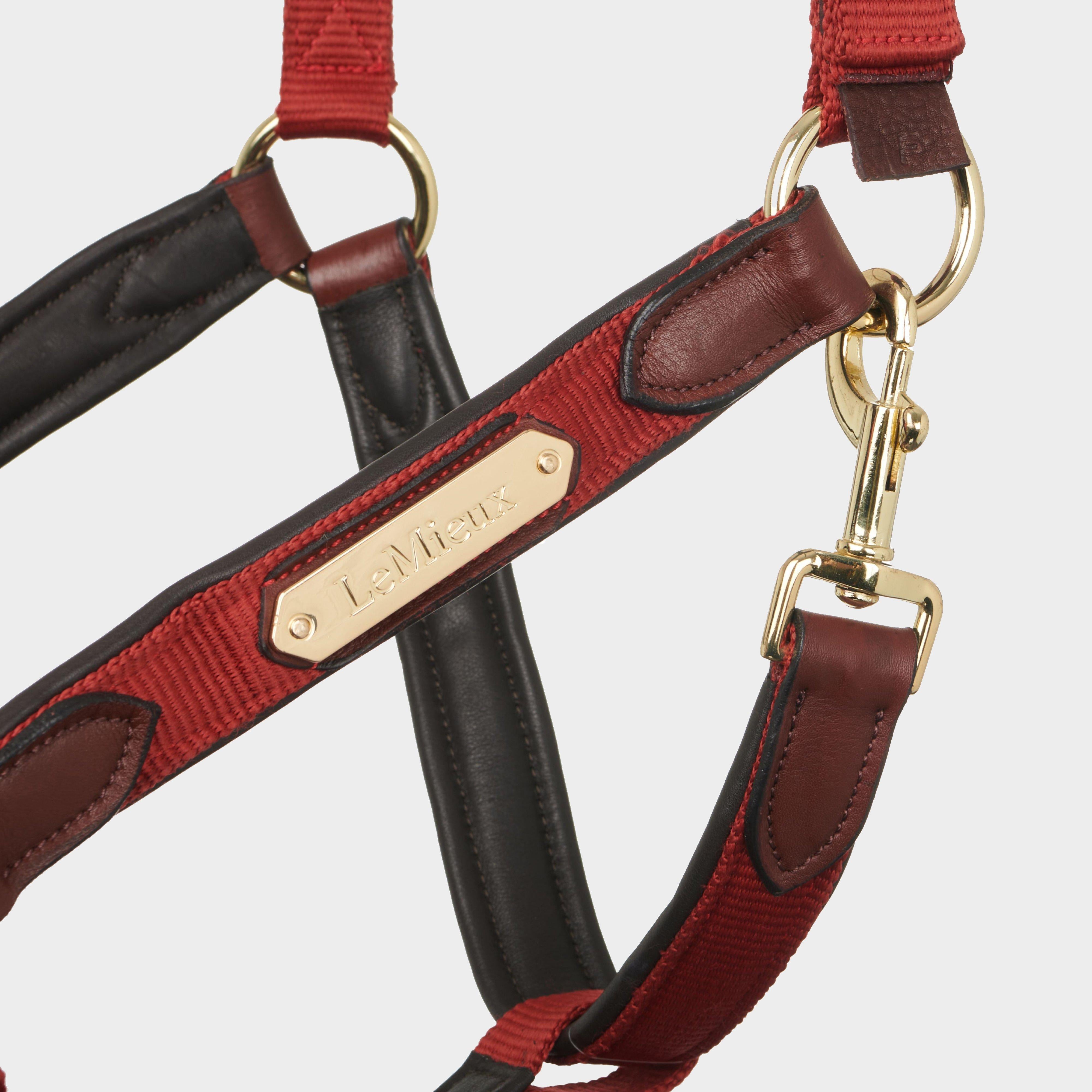 Capella Headcollar Sienna