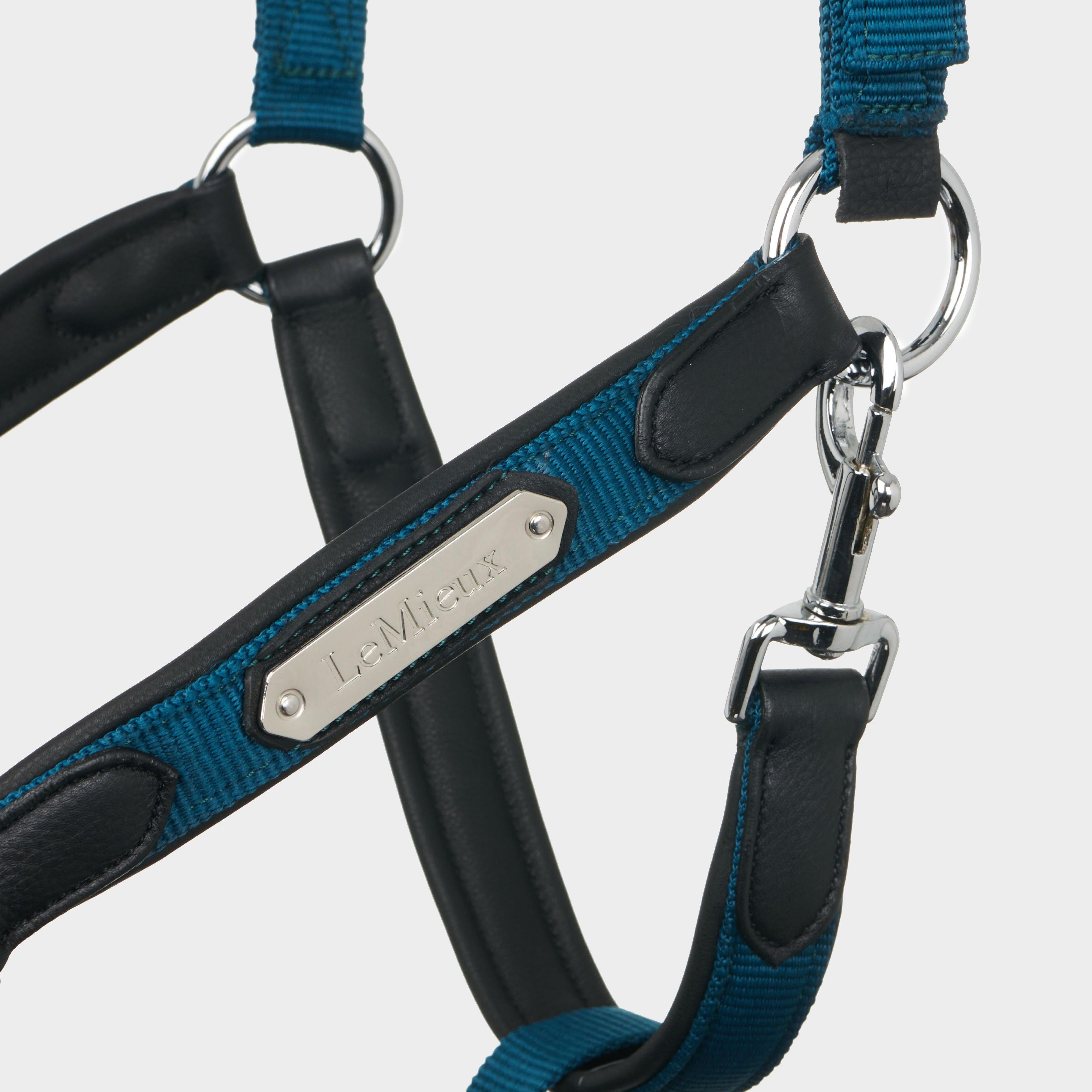Capella Headcollar Marine