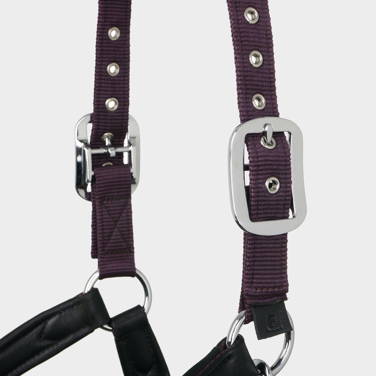 Capella Headcollar Fig