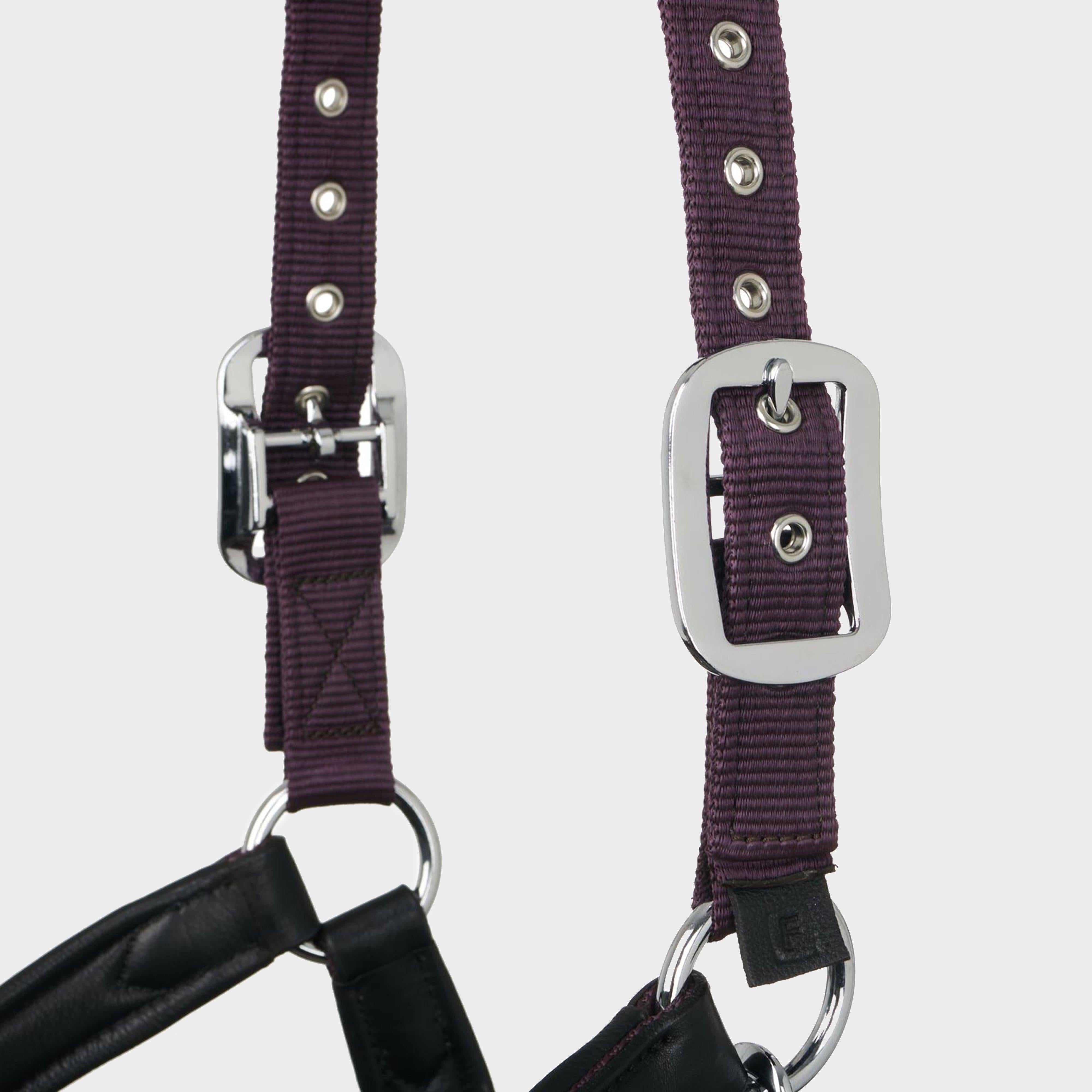 Capella Headcollar Fig