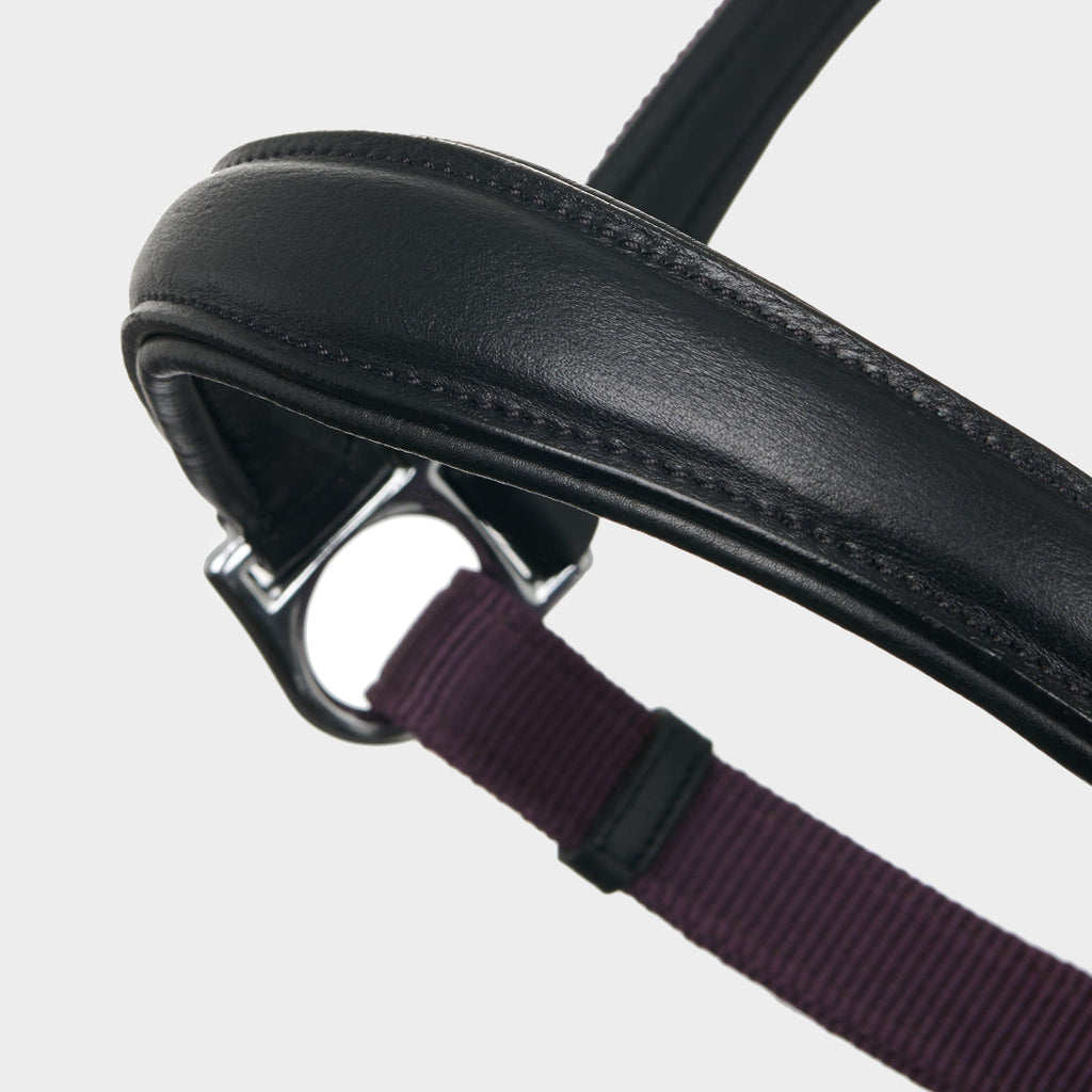 Capella Headcollar Fig