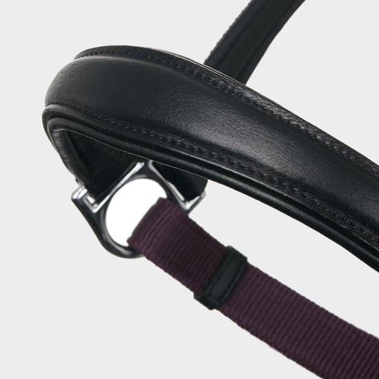 Capella Headcollar Fig