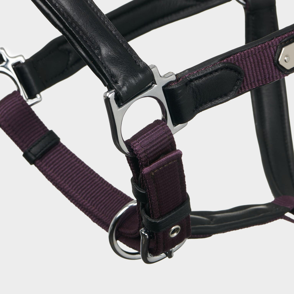 Capella Headcollar Fig