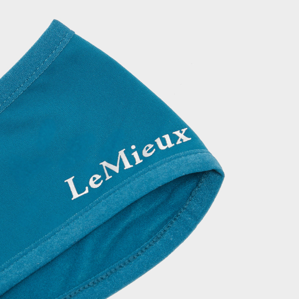 Ear Warmer Headband Marine