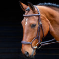 Brampton Bridle Australian Nut