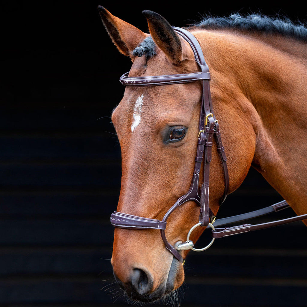 Brampton Bridle Australian Nut