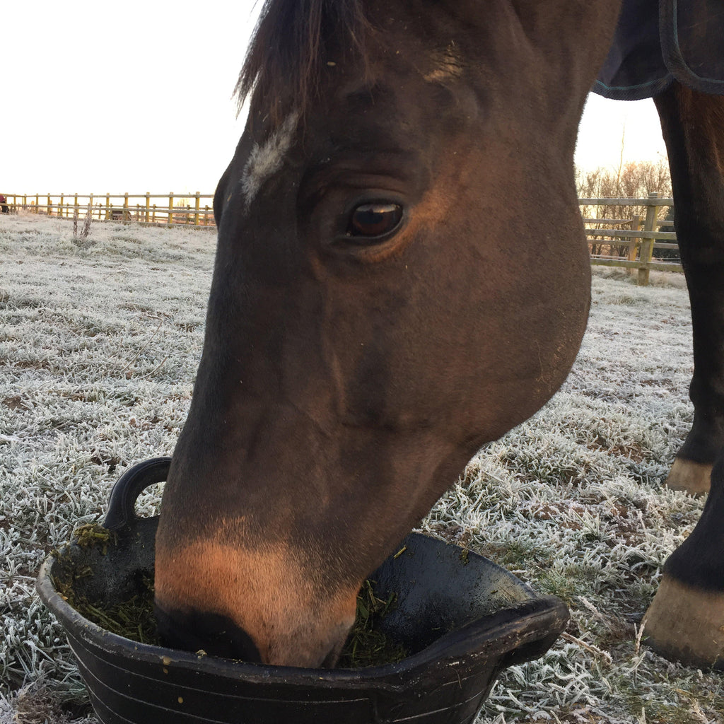 Tyre Rubber Feed Skip Black