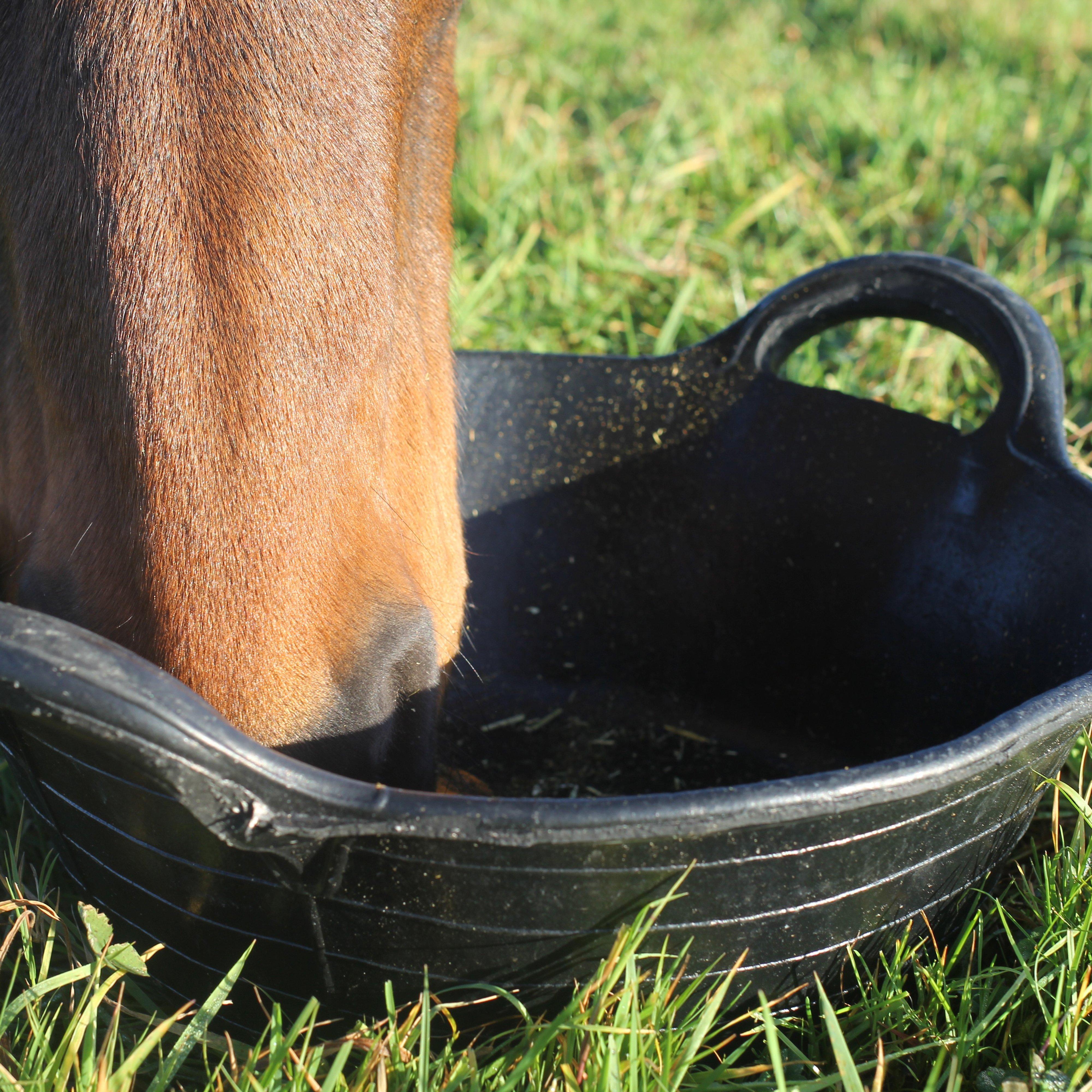 Tyre Rubber Feed Skip Black