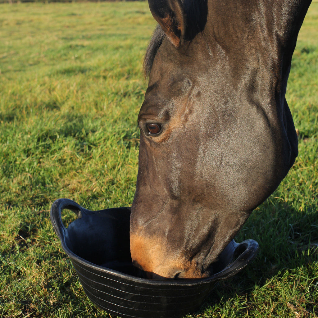 Tyre Rubber Feed Skip Black