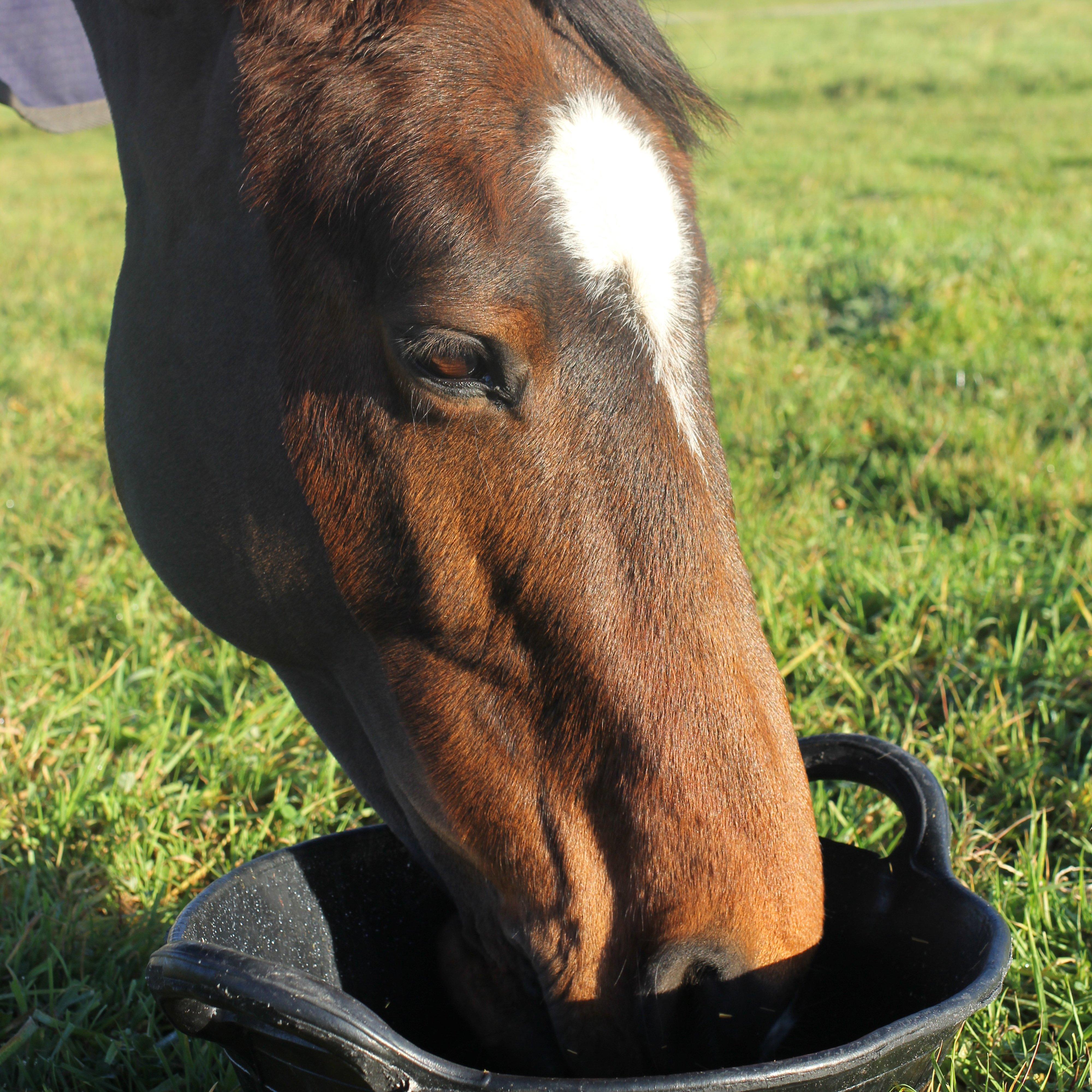 Tyre Rubber Feed Skip Black