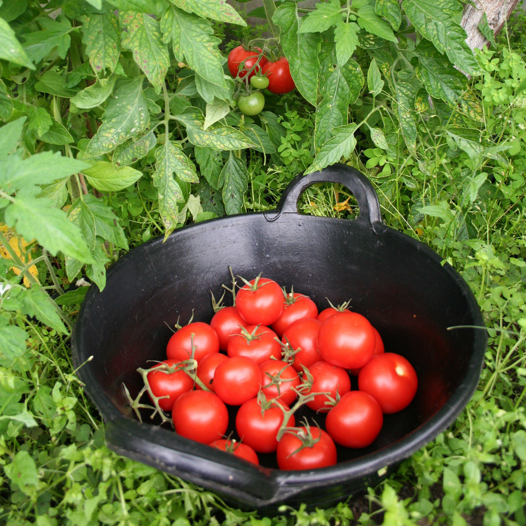 Tyre Rubber Feed Skip Black