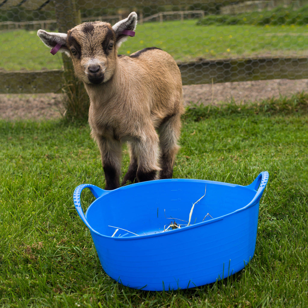 Flexible Shallow Bucket Blue