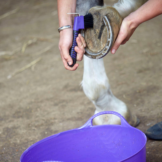 Flexible Shallow Bucket Purple
