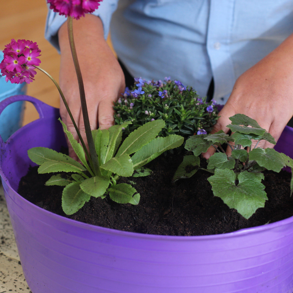 Flexible Shallow Bucket Purple