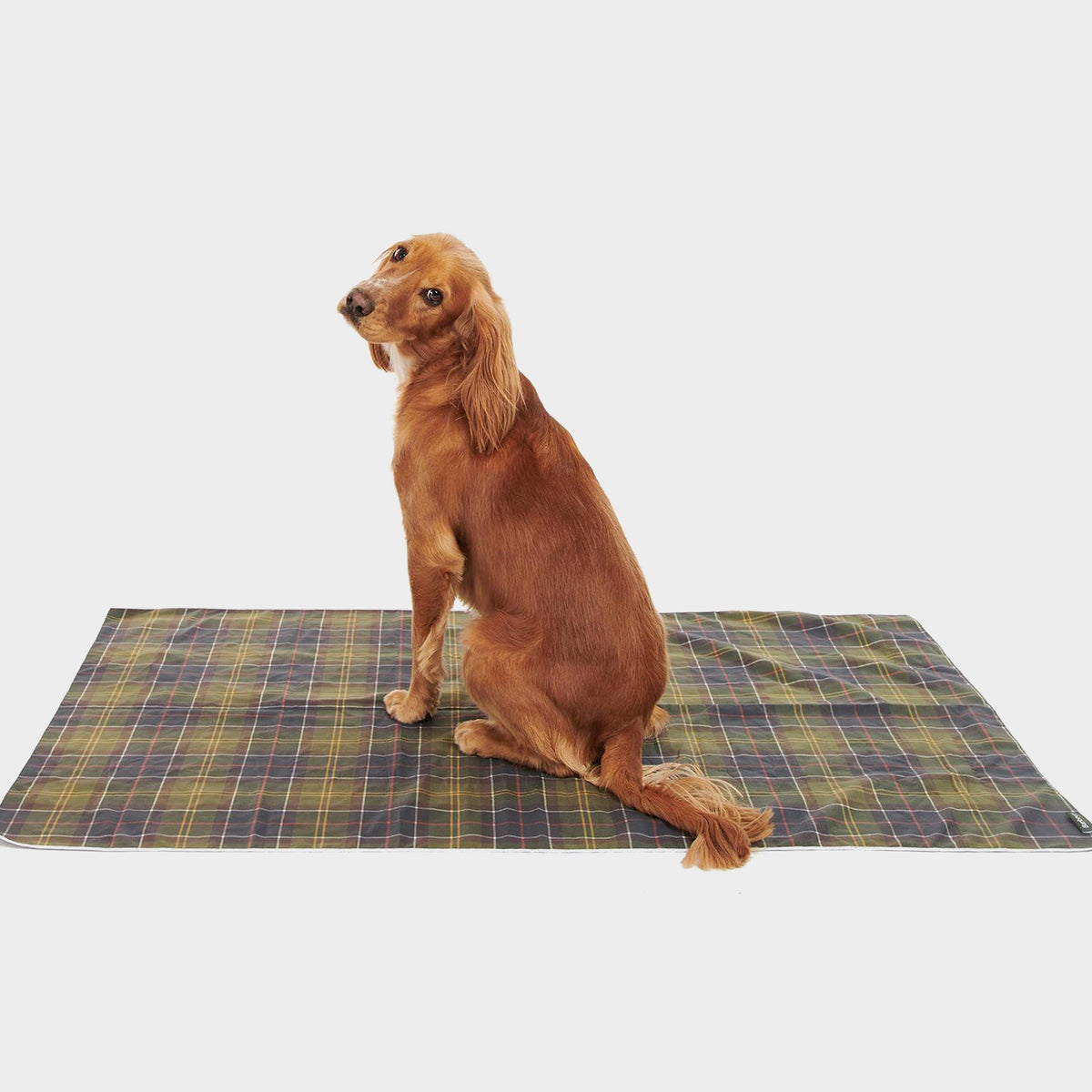 Tartan Quick Drying Dog Towel Classic Tartan.