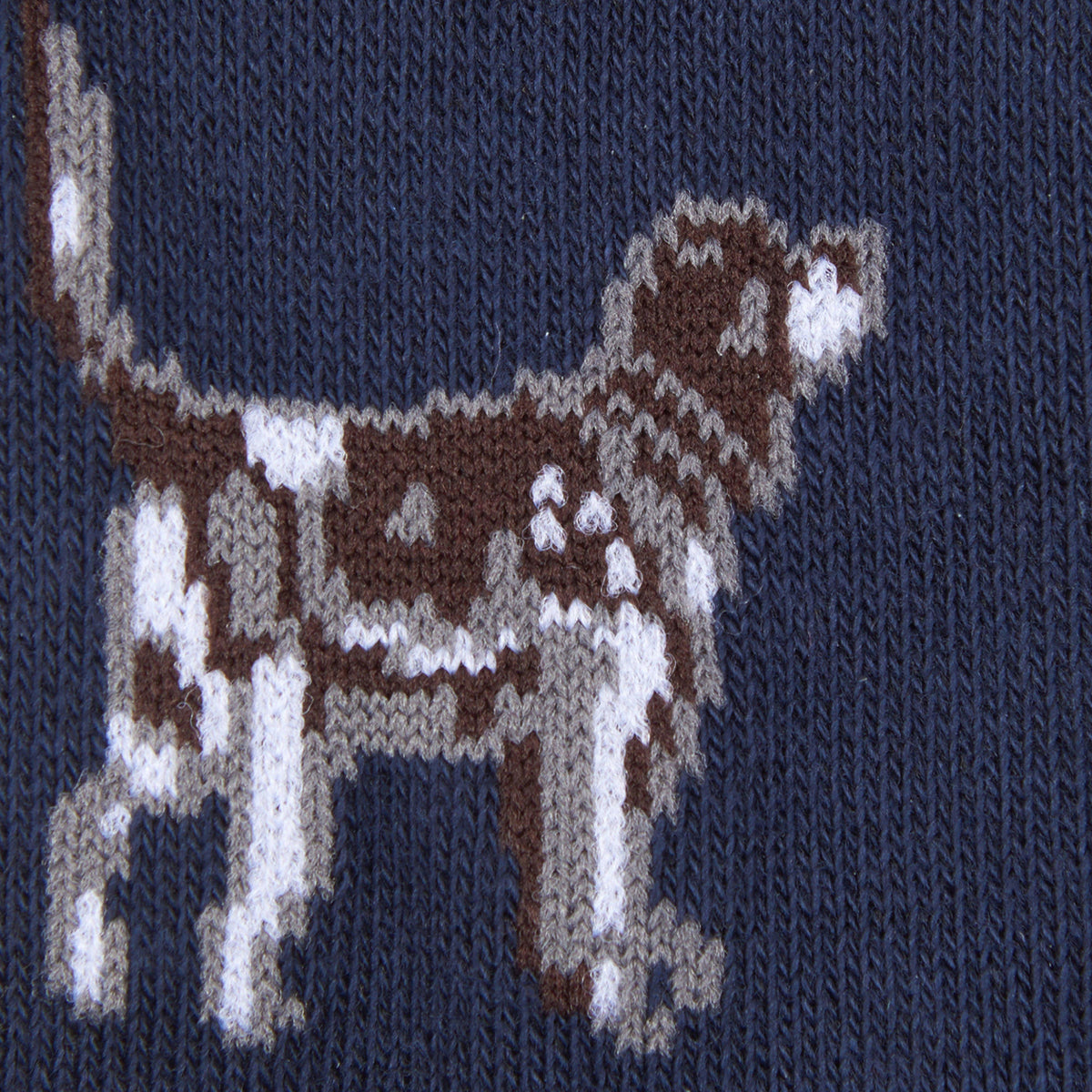 Mens Pointer Dog Socks Gift Box Blue/Green