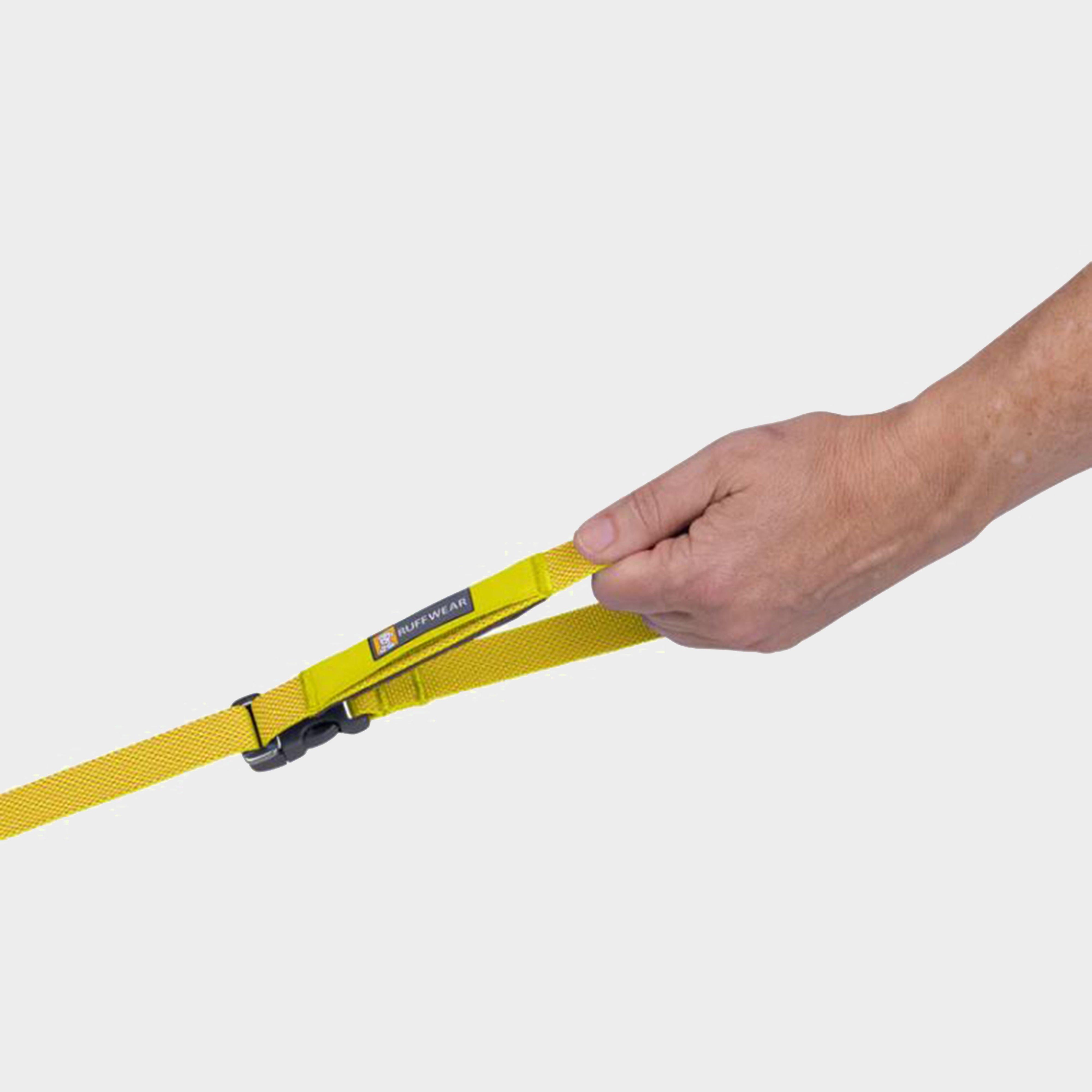 Flagline™ Dog Lead Lichen Green