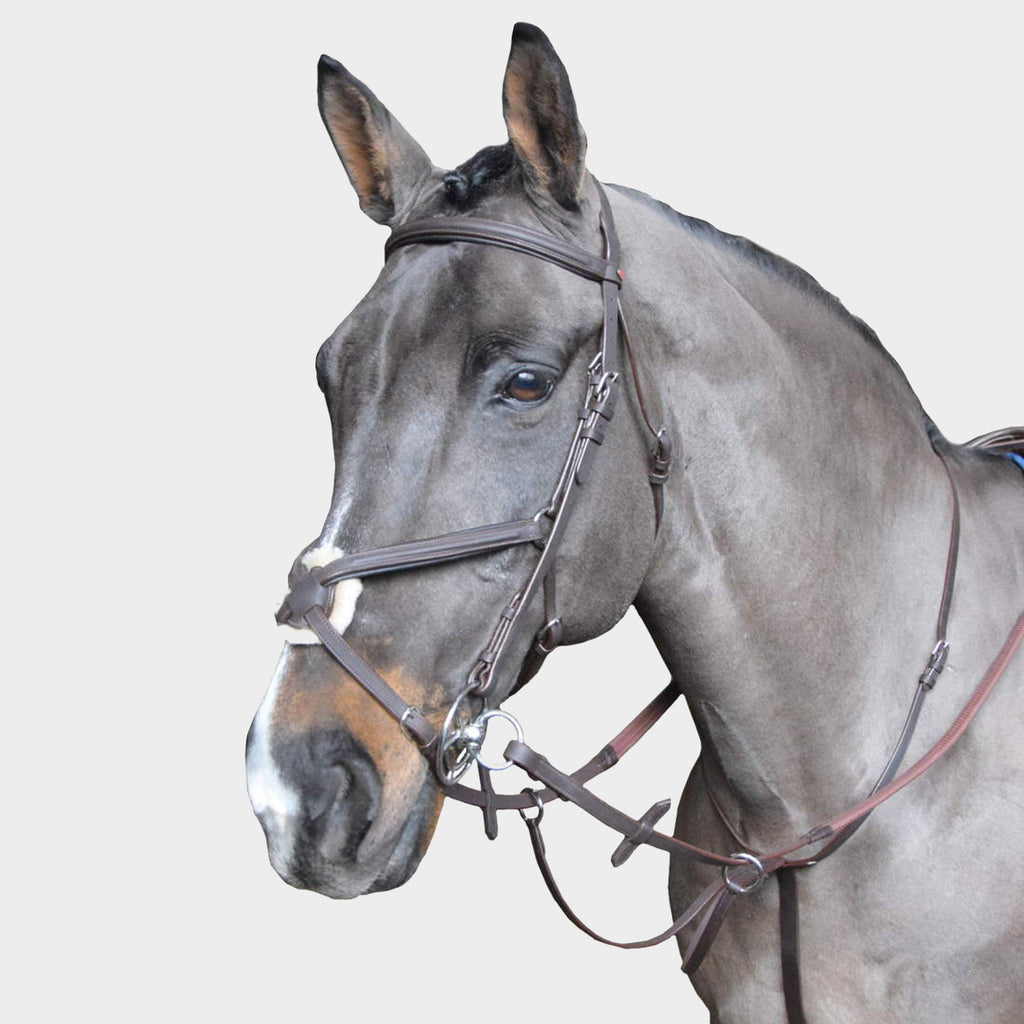 Ready To Ride Running Martingale Havana