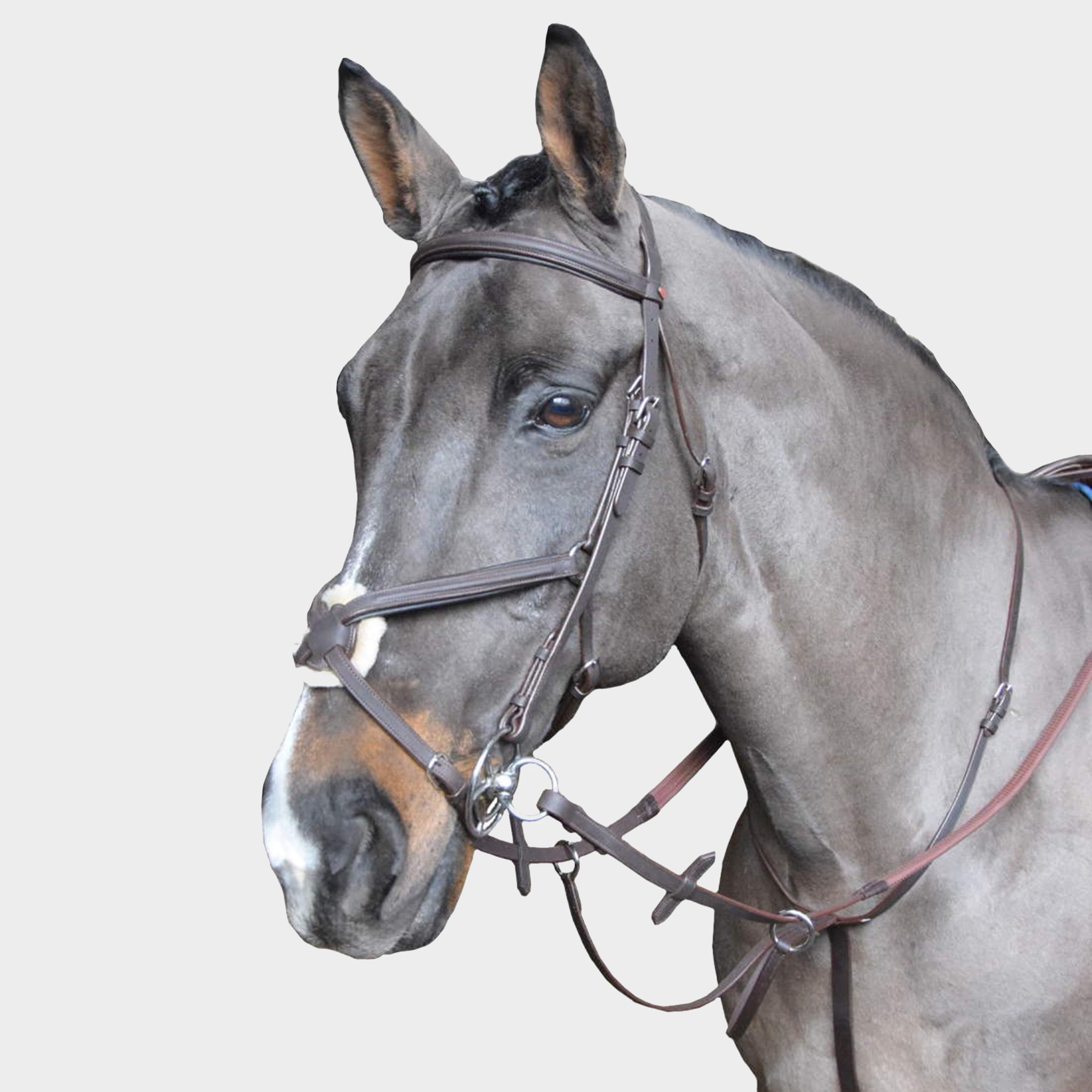 Ready To Ride Running Martingale Havana