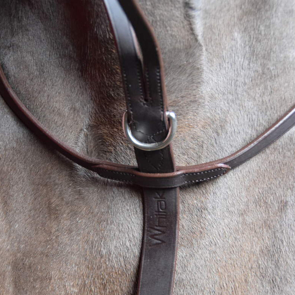 Ready To Ride Running Martingale Havana