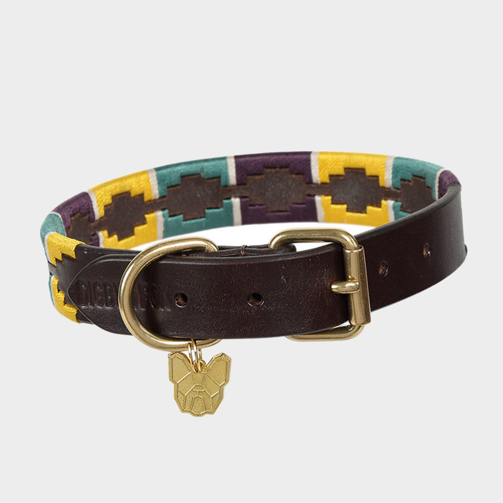 Drover Polo Dog Collar Green/Brown/Yellow