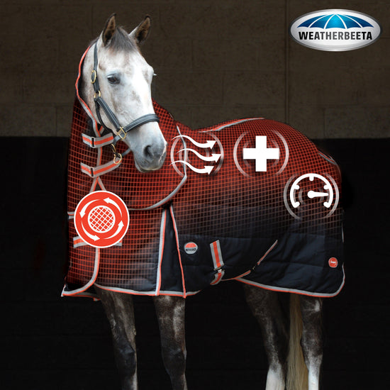 ComFiTec Therapy-Tec Channel Quilt Medium Weight Detach-A-Neck Stable Rug Black/Red