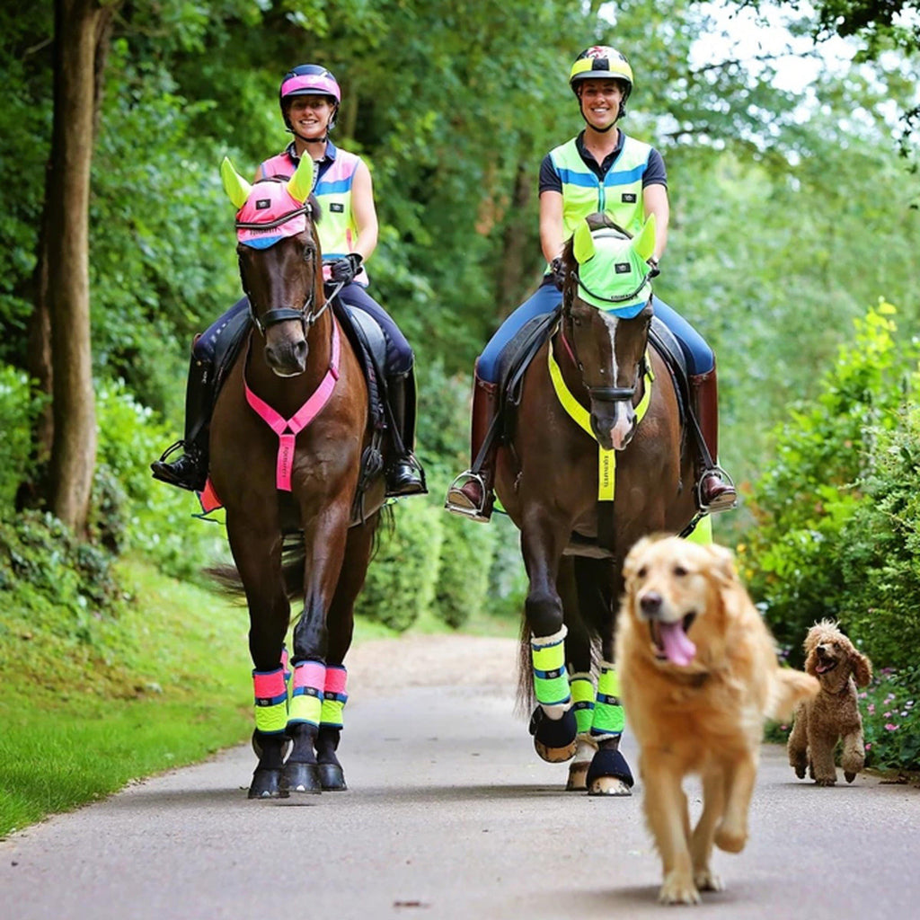 Charlotte Dujardin Reflective Multi-Coloured Mesh Horse Ears Pink/Yellow