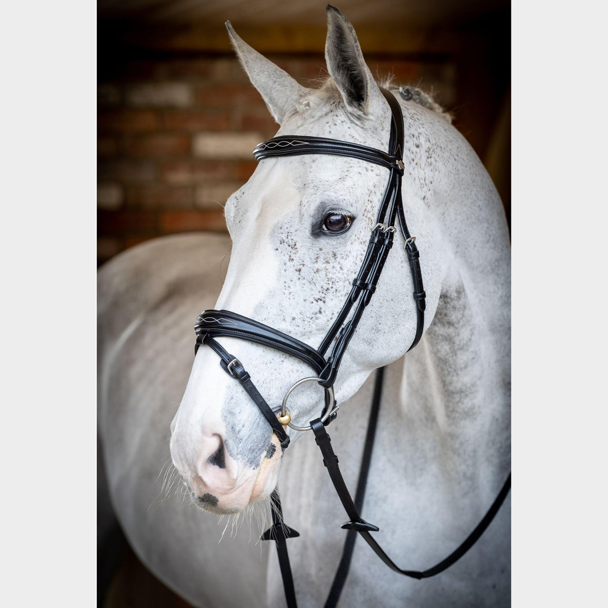 Competition Flash Bridle Black