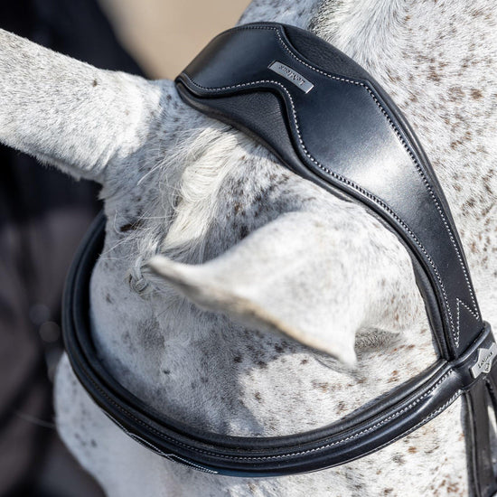 Competition Flash Bridle Black