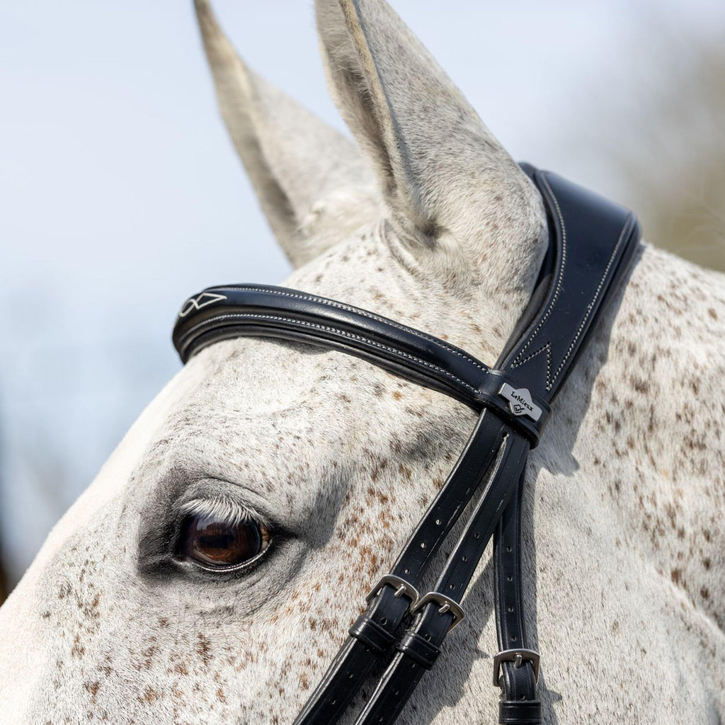 Competition Flash Bridle Black