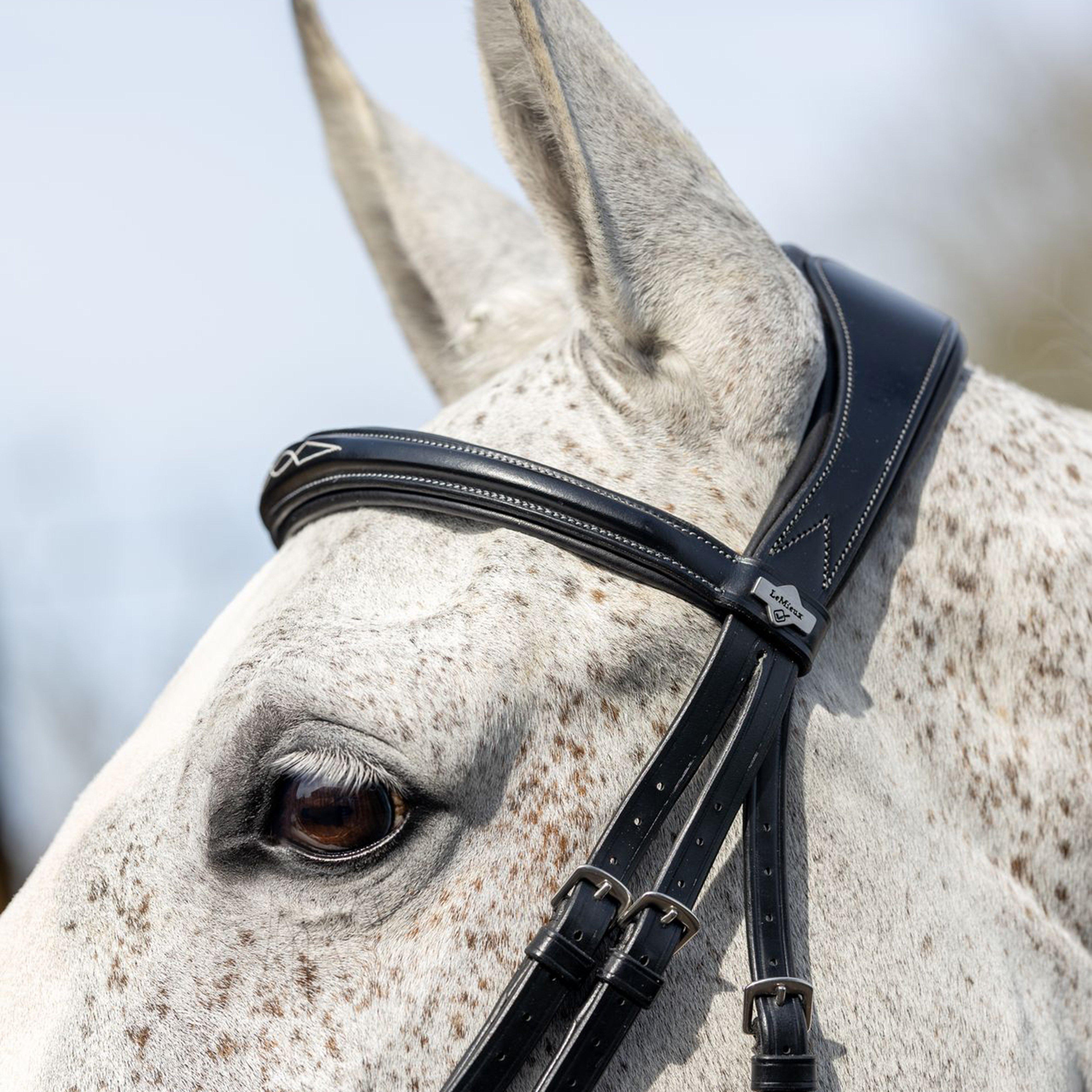 Competition Flash Bridle Black
