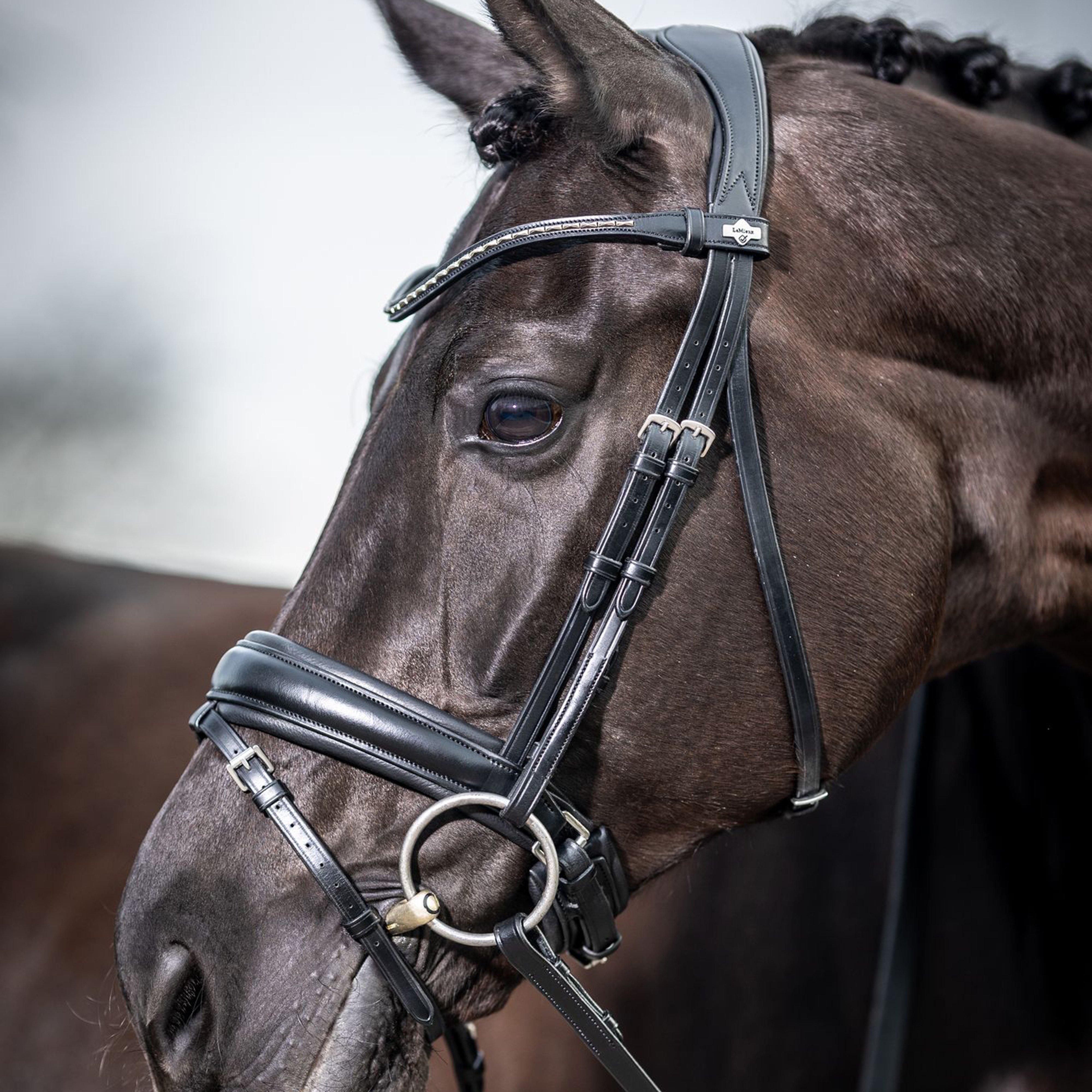 Classic Dressage Bridle Black