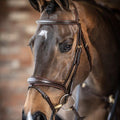 Competition Flash Bridle Brown